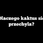 Dlaczego kaktus się przechyla?