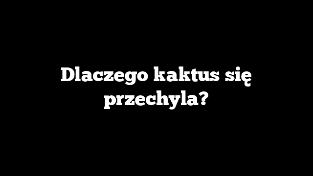 Dlaczego kaktus się przechyla?