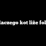 Dlaczego kot liże folię