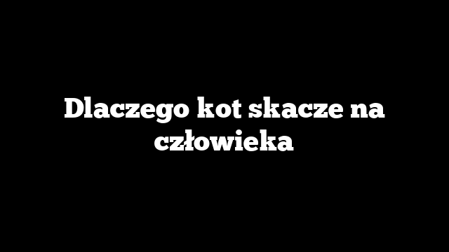 Dlaczego kot skacze na człowieka