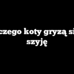 Dlaczego koty gryzą się w szyję