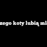 Dlaczego koty lubią mleko?