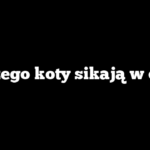 Dlaczego koty sikają w domu