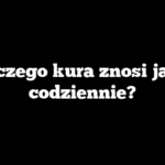 Dlaczego kura znosi jajka codziennie?