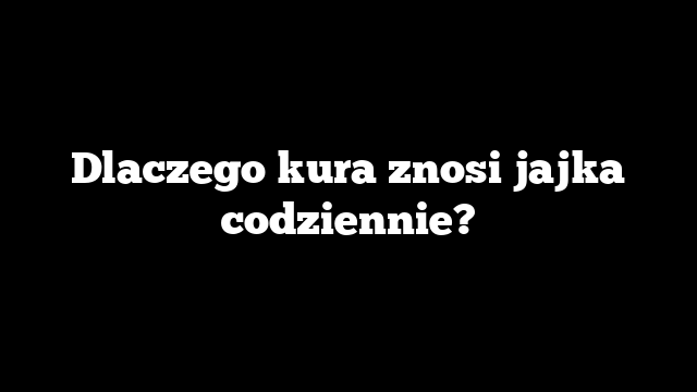 Dlaczego kura znosi jajka codziennie?