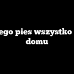 Dlaczego pies wszystko liże w domu