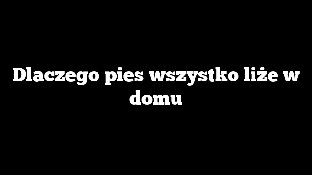Dlaczego pies wszystko liże w domu