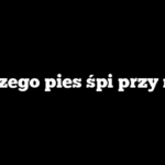 Dlaczego pies śpi przy mnie