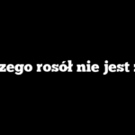 Dlaczego rosół nie jest żółty