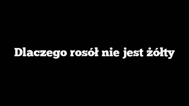 Dlaczego rosół nie jest żółty