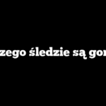 Dlaczego śledzie są gorzkie