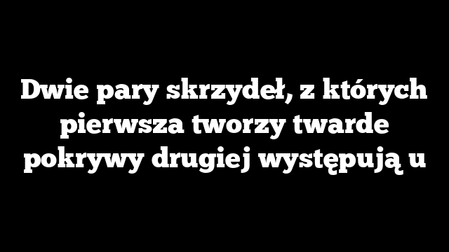 Dwie pary skrzydeł, z których pierwsza tworzy twarde pokrywy drugiej występują u