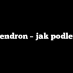 Filodendron – jak podlewać?