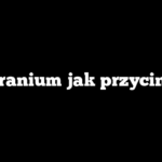 Geranium jak przycinać