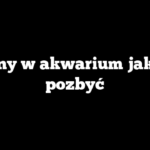 Glony w akwarium jak się pozbyć