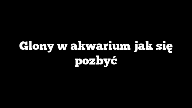Glony w akwarium jak się pozbyć