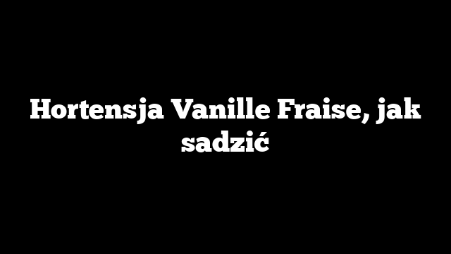 Hortensja Vanille Fraise, jak sadzić