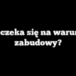 Ile czeka się na warunki zabudowy?