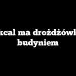 Ile kcal ma drożdżówka z budyniem