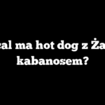 Ile kcal ma hot dog z Żabki z kabanosem?