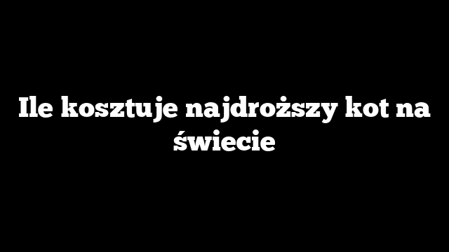 Ile kosztuje najdroższy kot na świecie