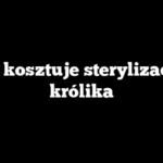 Ile kosztuje sterylizacja królika