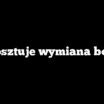 Ile kosztuje wymiana bojlera