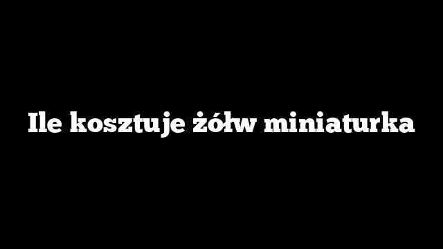 Ile kosztuje żółw miniaturka