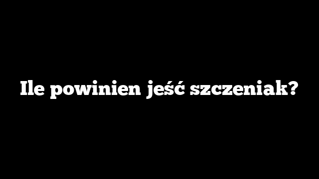 Ile powinien jeść szczeniak?