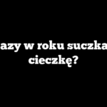 Ile razy w roku suczka ma cieczkę?