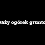 Ile waży ogórek gruntowy?