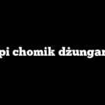 Ile śpi chomik dżungarski?