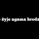 Ile żyje agama brodata