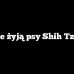 Ile żyją psy Shih Tzu