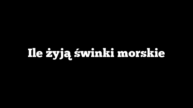 Ile żyją świnki morskie