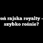 Jabłoń rajska royalty – jak szybko rośnie?