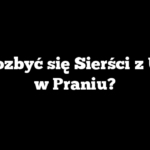 Jak Pozbyć się Sierści z Ubrań w Praniu?