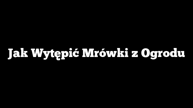 Jak Wytępić Mrówki z Ogrodu