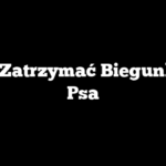 Jak Zatrzymać Biegunkę u Psa