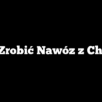 Jak Zrobić Nawóz z Chleba
