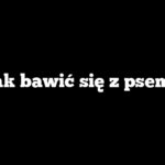 Jak bawić się z psem?