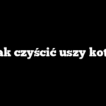 Jak czyścić uszy kota