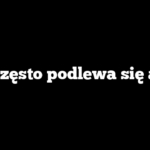 Jak często podlewa się aloes
