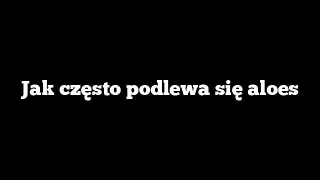 Jak często podlewa się aloes