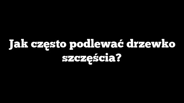 Jak często podlewać drzewko szczęścia?