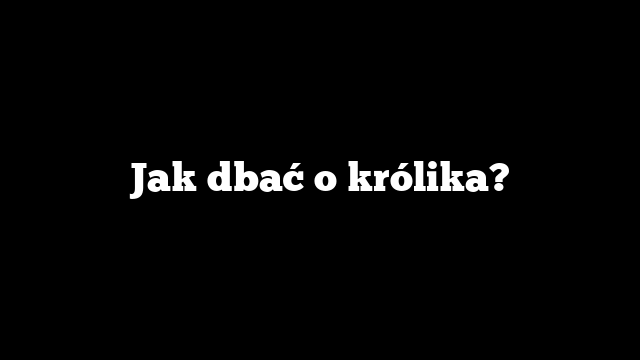 Jak dbać o królika?