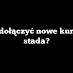 Jak dołączyć nowe kury do stada?