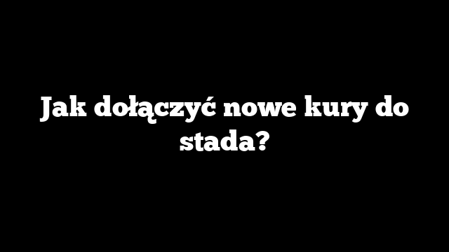 Jak dołączyć nowe kury do stada?