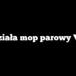 Jak działa mop parowy Vileda