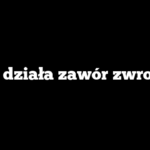 Jak działa zawór zwrotny